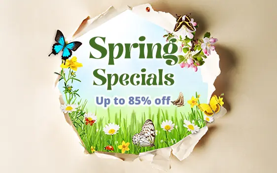 Spring Vape Discounts Up to 85% Off